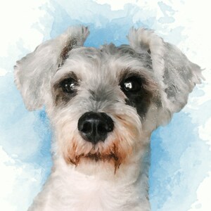 Pet Portrait from photo, Pet Portrait, Pet Memorial, Portrait, Painting from photo, Custom pet portrait, Pet portrait, Commission portrait