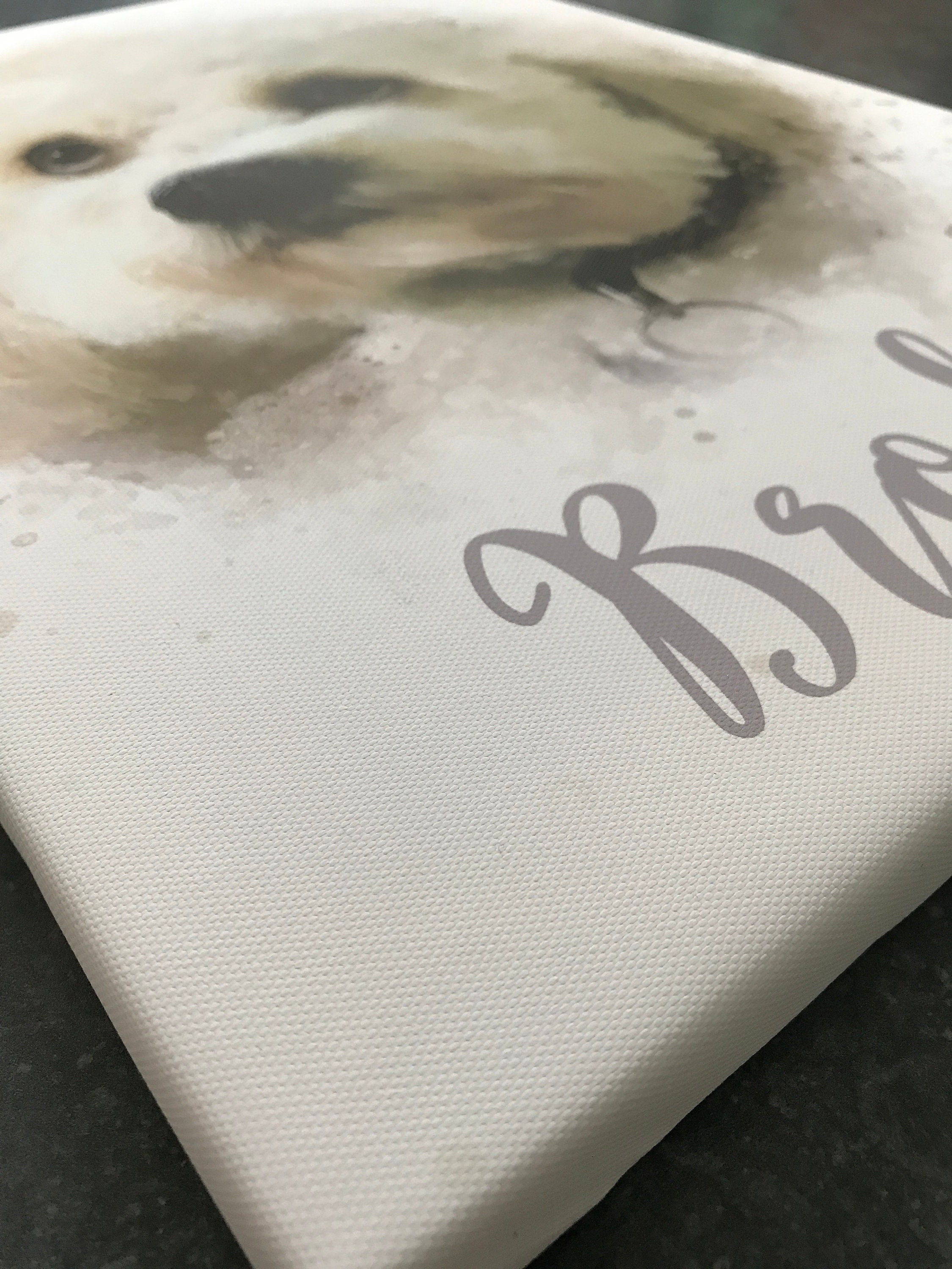 Pet Canvas Portrait Personalised Dog Canvas Pet Portrait on Canvas