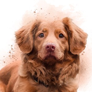 Pet Portrait from photo, Pet Portrait, Pet Memorial, Portrait, Painting from photo, Custom pet portrait, Pet portrait, Commission portrait
