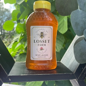 Wildflower Honey – 100% Pure Unprocessed Unfiltered Honey – Extra Sweet Floral Tones – Thick & Delicious Clover Honey - Squeeze - 1 Pound