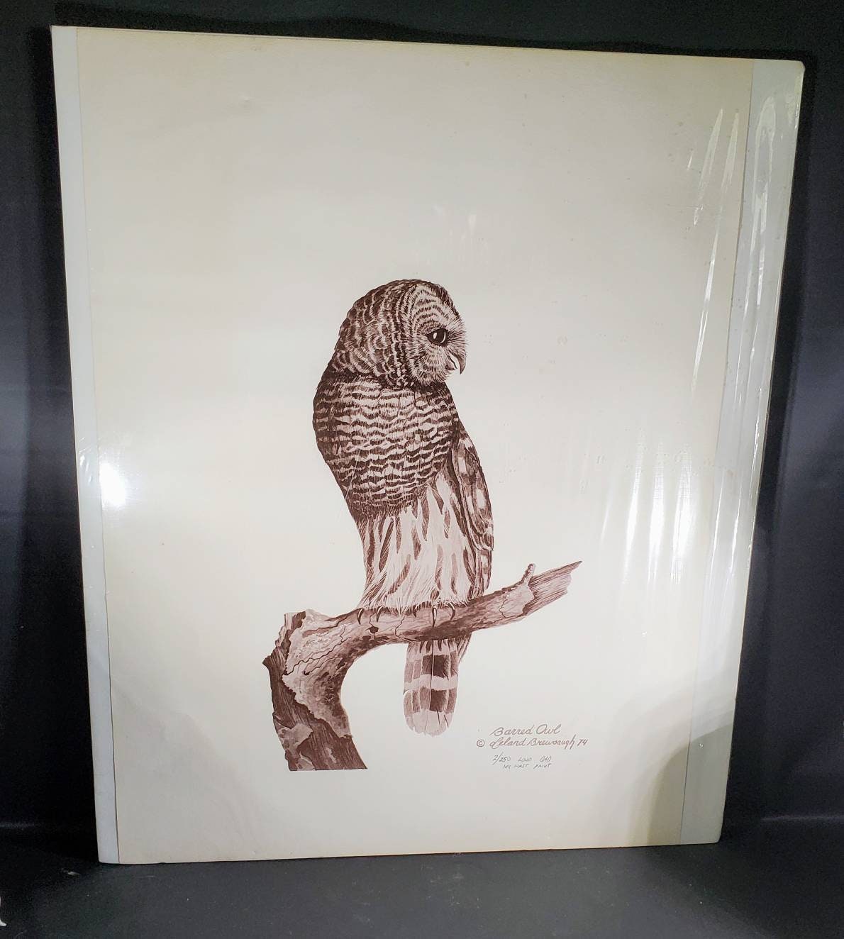 Leland Brewsaugh Barn Owl Print Numbered 2/250 First Print 1974