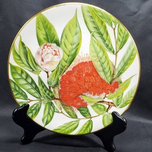 Royal Botanic Gardens December Flower Mountain Rose Collectible Plate