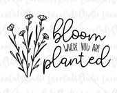 Bloom Where You Are Planted SVG, Spring SVG, Spring Flowers Clipart, Flowers SVG, Spring Sign Svg, Flower Dxf, Spring Cut Files for Cricut