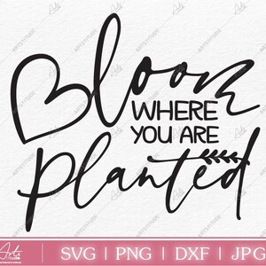 Bloom where you are planted, Inspirational Svg, Motivational Svg, Positive Quote Svg, Funny Quotes,Inspiration Saying Svg,Cricut,Sublimation