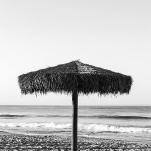 Umbrella - San Clemente, CA