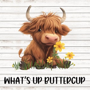 May include: A brown and white Highland cow with a fluffy mane and horns, standing in a field of yellow flowers. The text "WHAT'S UP BUTTERCUP" is written below the cow.
