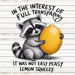 May include: A black and white illustration of a raccoon holding a yellow lemon. The text reads "In the interest of full transparency, it was not easy peasy lemon squeezy."
