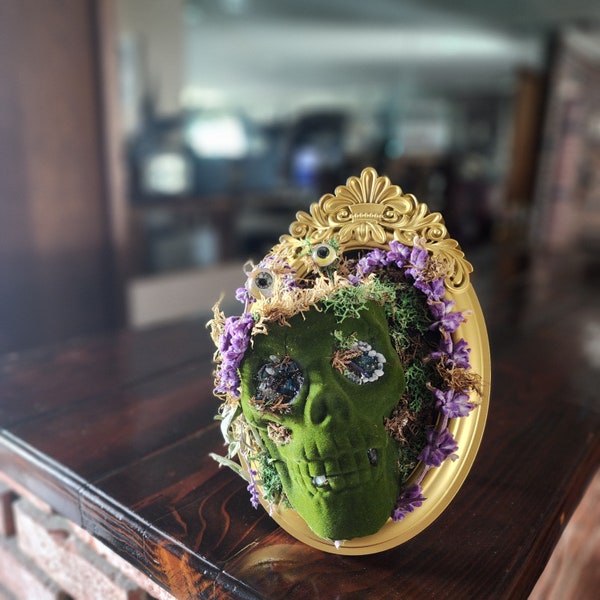 Creepy Cute Decor, Eyeball Art, Oddity Art, Weird Art, Assemblage Art, Eye Art, Eye Ball Art, Skull Art, Moss Skull, Natural Flowers