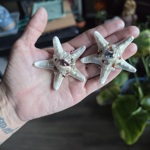 May include: Two off-white starfish ornaments, each featuring a central realistic human-like eye with dark eyelashes. The starfish are decorated with small, scattered clear, amber, and brown beads embedded around the center and along the arms.