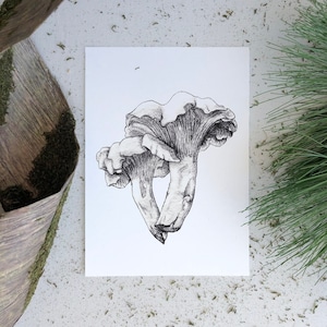 Hand-Drawn Chanterelle Mushrooms | Mailed Print Unframed | Vertical Handmade Ink Drawing | Cottagecore Artwork