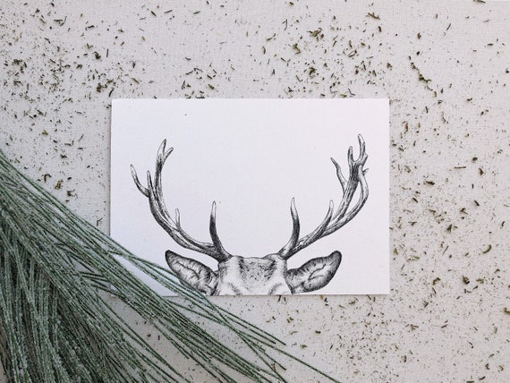 Buck Antlers Art Print Mailed Print Unframed Horizontal Handmade