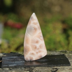 Thomsonite cabochon