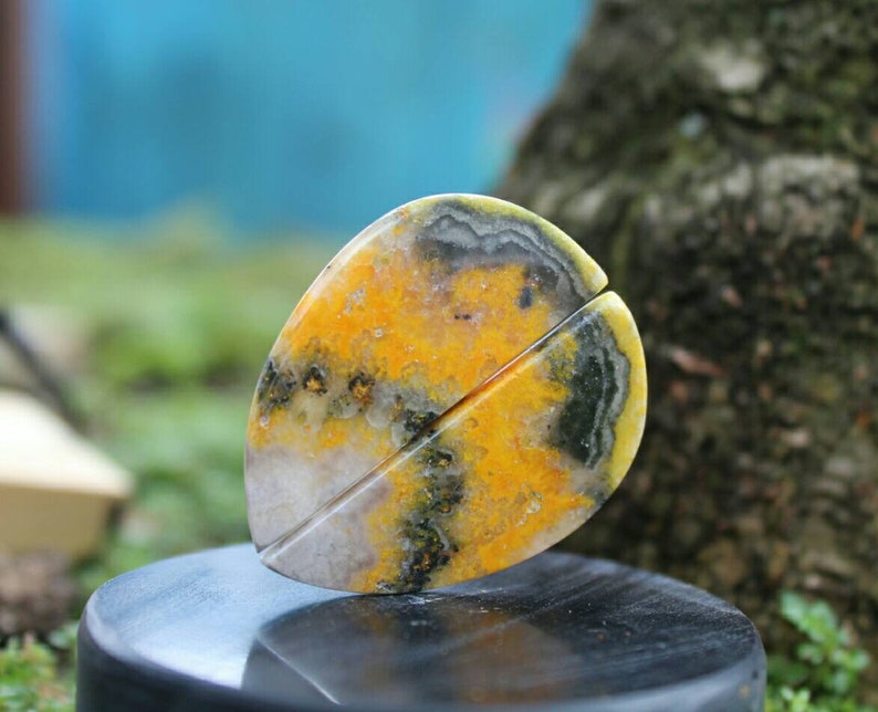 Bumbelbee Jasper pair
