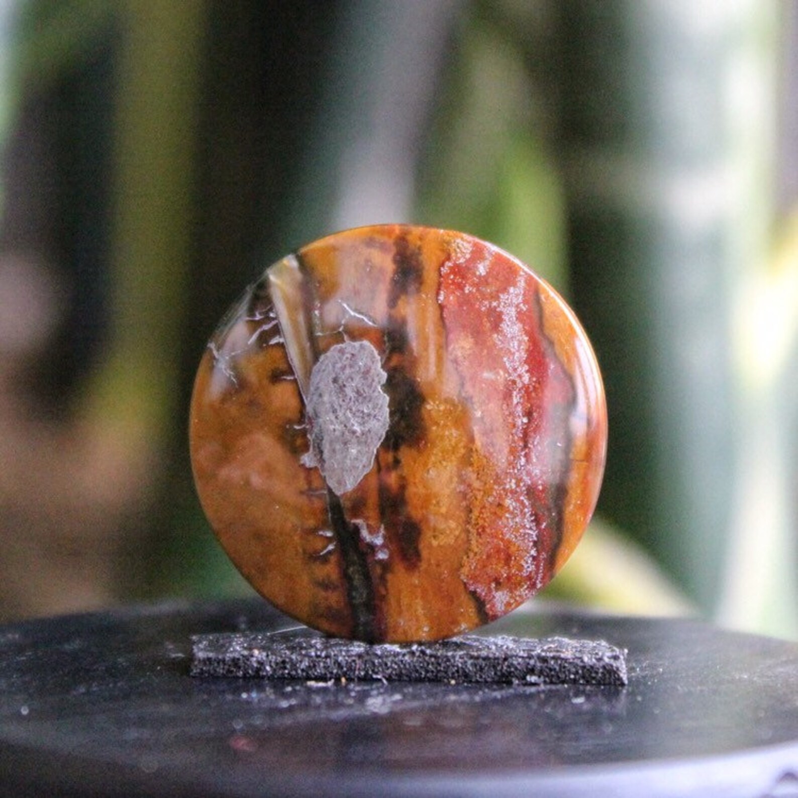 Opalized wood round Etsy