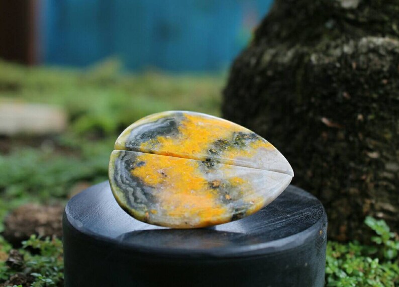 Bumbelbee Jasper pair