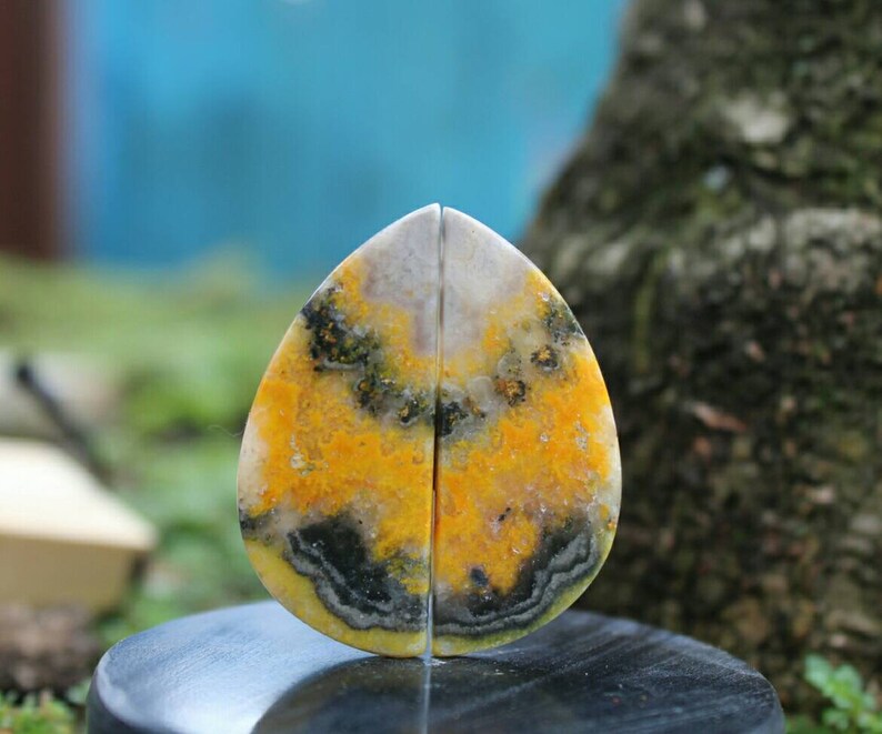 Bumbelbee Jasper pair