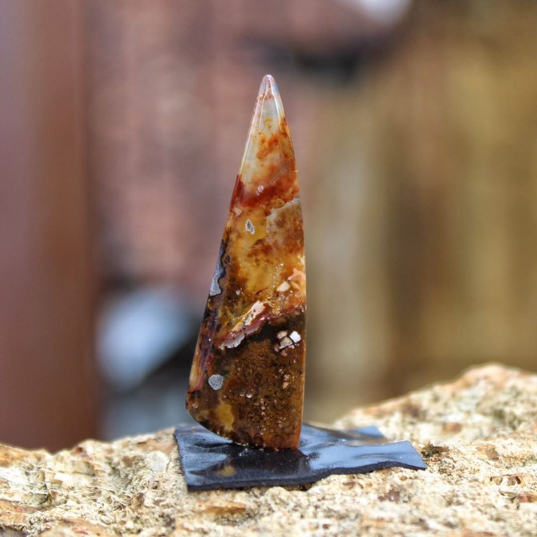 Opalized Wood Cabochon Etsy