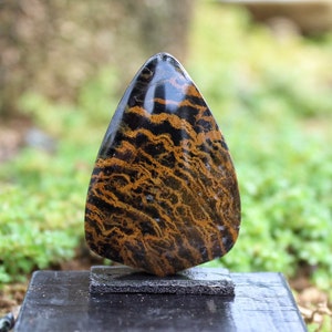 Petrified wood tiger fur cabochon
