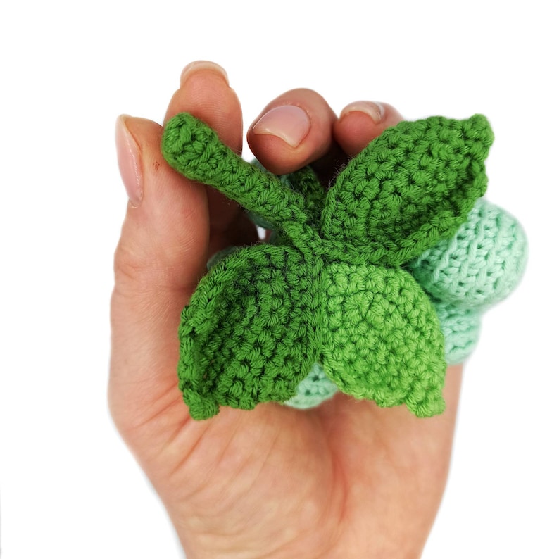 GRAPE Crochet Amigurumi Pattern PDF Crochet Play Food Amigurumi Food Easy Crochet Pattern Crochet Keychain Fruit Pattern Kitchen Decoration