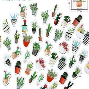 Groene Planten Stickers, Cactus Sticker, Succulent Stickers, Kawaii Stickers, Scrapbook Sticker, Planner Accessoires, Journal Stickers MS-26