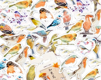 Cute Bird Stickers, Robin Bird Stickers, Animal Sticker, Sticker Set, DIY Decoration, Stationery Stickers, Arts and Crafts Accessories MS-16