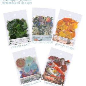 40 piezas pegatinas de flores prensadas, paquete de pegatinas de planificador de plantas, pegatinas decorativas de primavera, álbum de recortes de bodas, accesorios de planificación MS-62