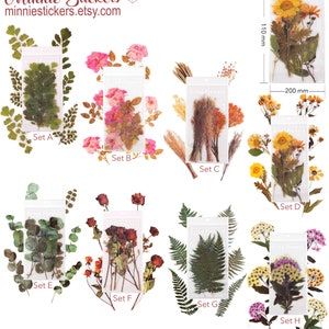 6pcs Extra Large Dried Flowers Clear Stickers, Dried Botanical Stickers, Leaves Stickers, Scrapbook Planner Journal Stickers MS-150