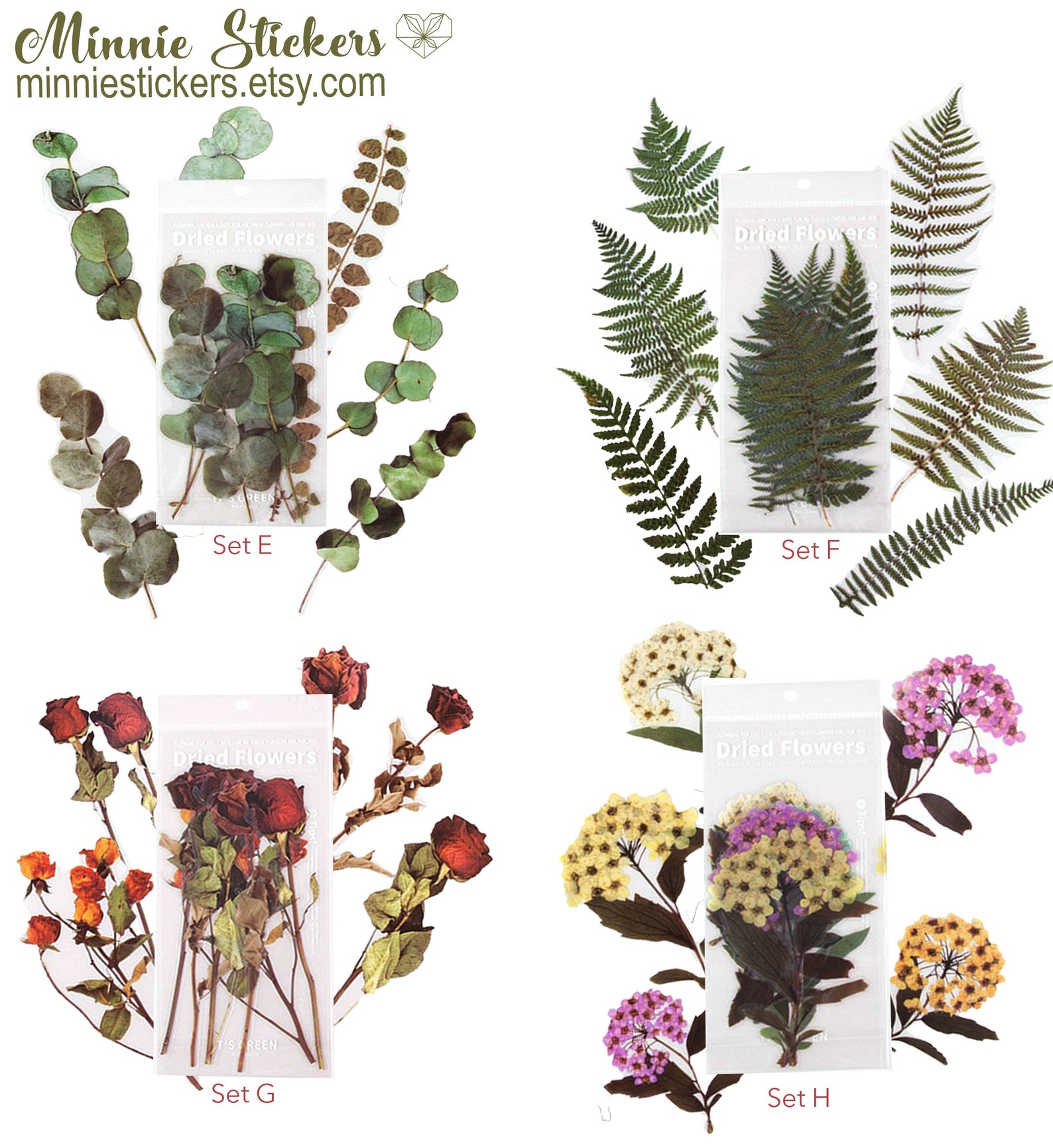 6pcs extra large dried flowers clear stickers dried botanical etsy