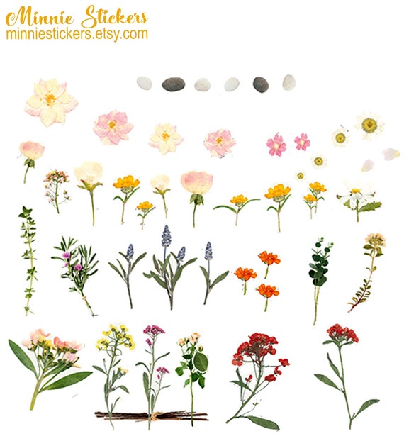 Botanical Spring Floral Stickers, Wildflower Stickers, Suatelier