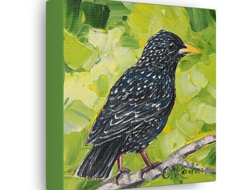 Starling Bird Print on Canvas - Bird Oil Painting Print - Square Art Prints - Bird Wall Art