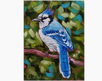Blue Jay Painting Etsy