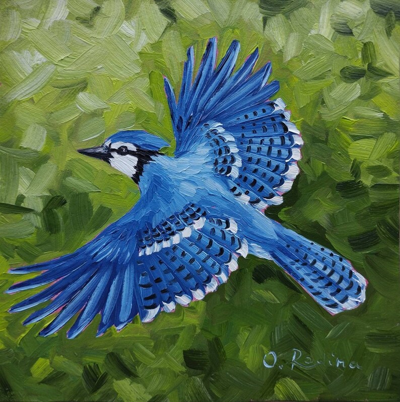 Blue Jay Bird Painting Original Blue Jay Flight Art Blue Jay Etsy