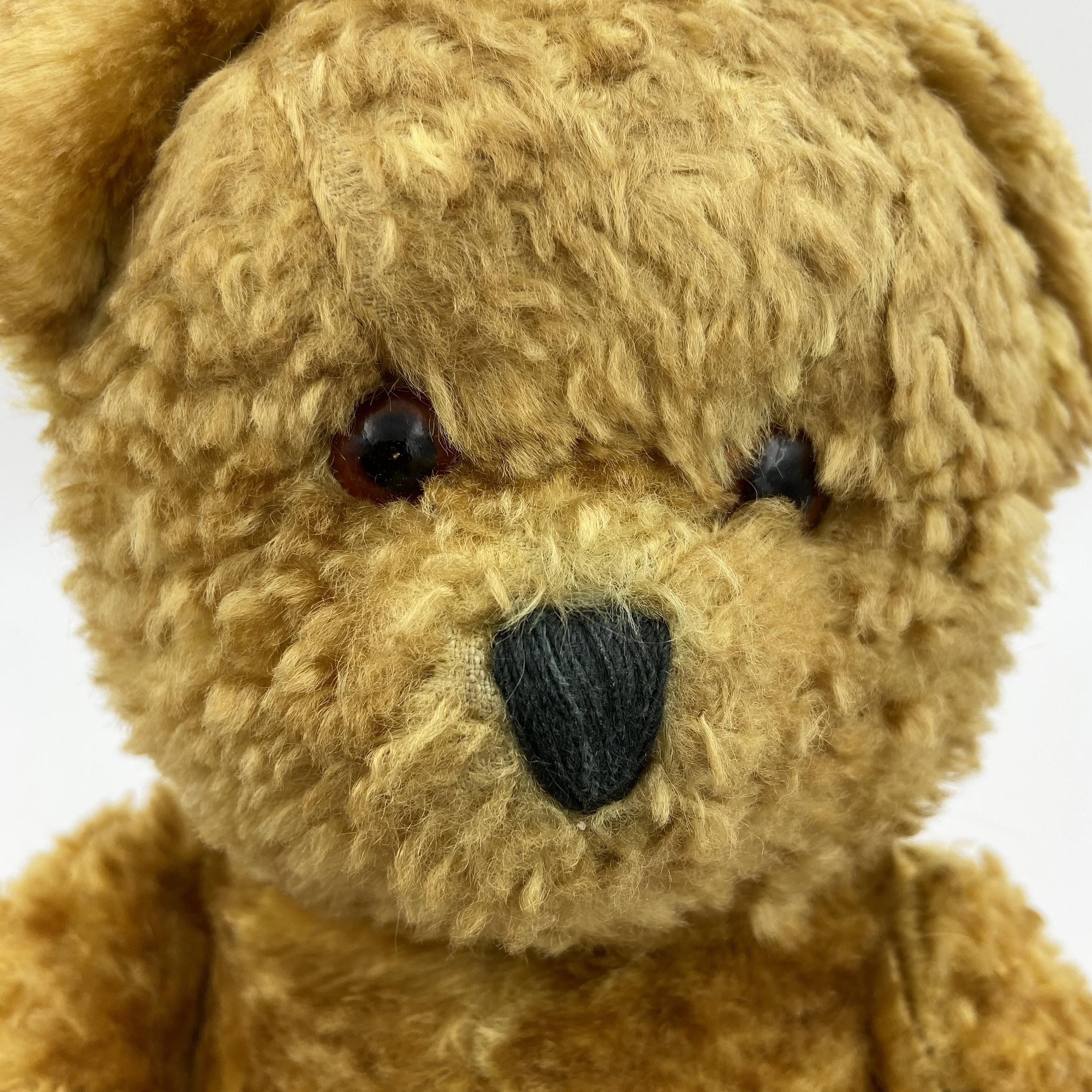 Petz Teddy Bear With ID and US Zone Tag 1940s Made by