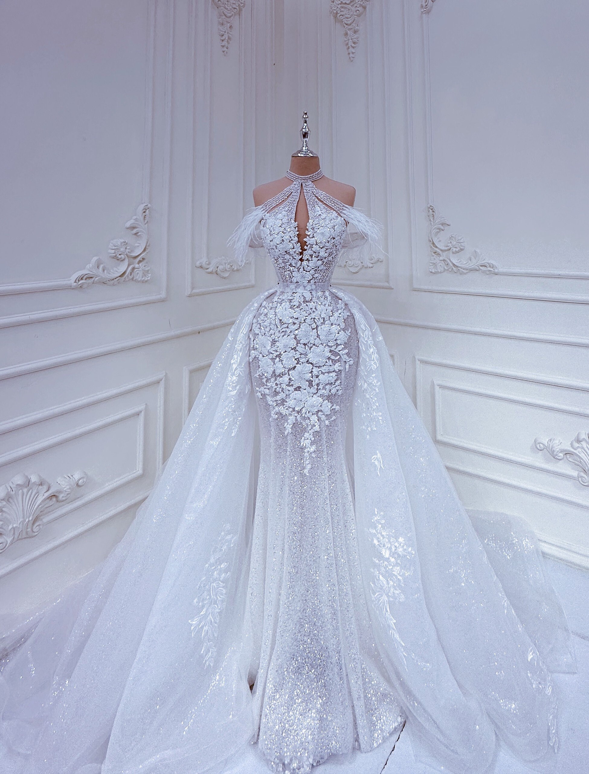 Princess Cathedral Train Tulle and Lace Wedding Dress LD4349