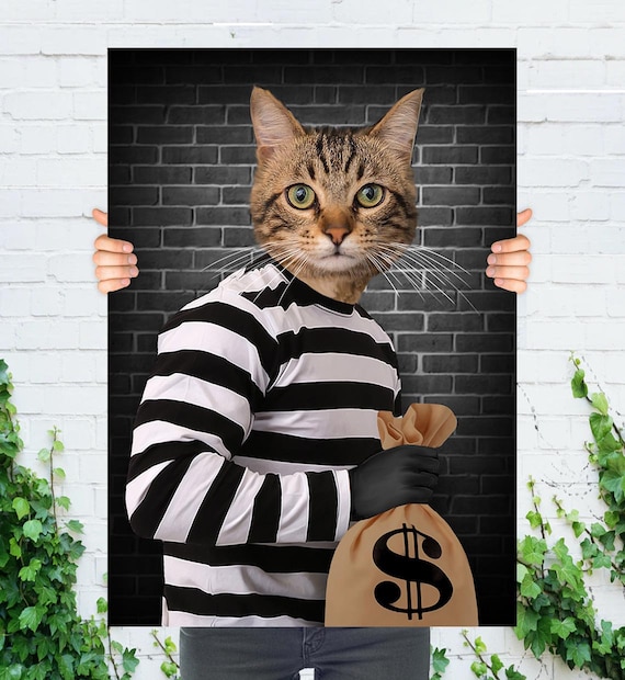 Diy Cat Burglar Costume