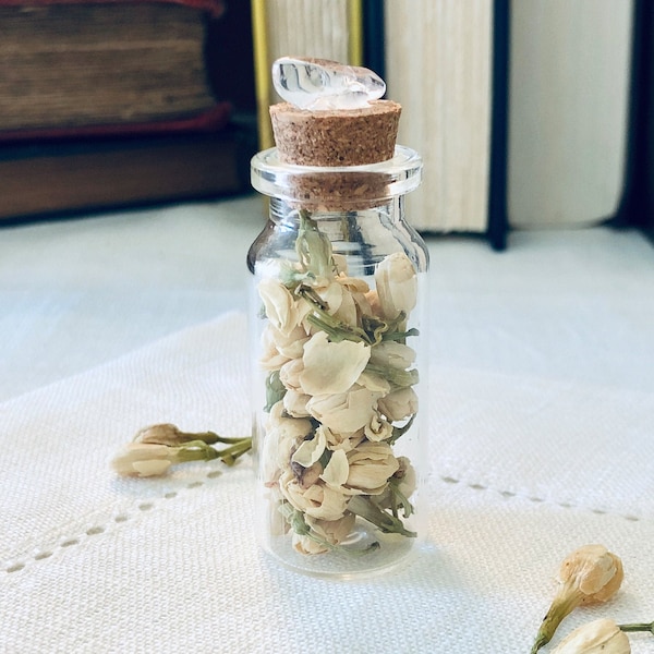 Dried Jasmine Flowers in Small Glass Vial/ Kitchen Witch / Apothecary / Witch Herbs / Curiosity / Cabinet de Curiosite / Witchcraft