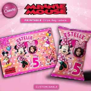 Pink Minnie Mouse Chip Bag Label, Minnie Mouse Birthday Labels, Pink Party Favors, Minnie Mouse Birthday Party Favors
