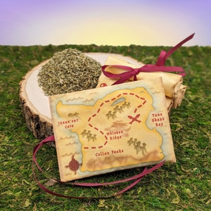 Epic Items Rouleau de carte au trésor froissé à l'herbe à chat, rempli d'herbe à chat certifiée biologique, jouet pour chat fait main