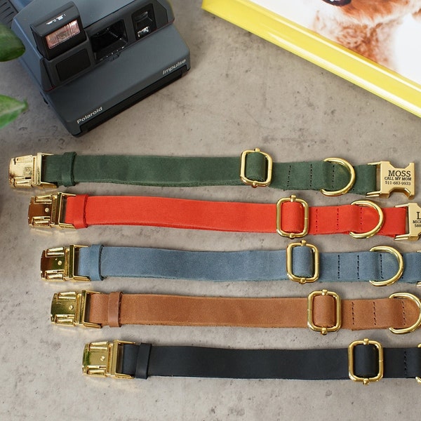 Leder Hundehalsband personalisiert mit Laser gravierter Schnalle, individuelles Hundehalsband mit 5 Farbstilen für Mädchen und Jungen Hunde, Welpen Halsband