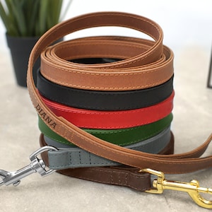 Op de afbeelding: Een stapel van zes leren hondenriemen in verschillende kleuren, waaronder bruin, zwart, rood, groen, grijs en bruin. De riemen zijn opgerold en de bovenste riem heeft de naam "DIANA" erop gegraveerd. De riemen hebben een zilveren haak.