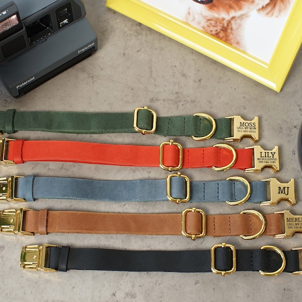 Leather Dog Collar Personalized with Laser Engraved Buckle, Custom Dog Collar with 5 Color Styles for Girl and Boy Dogs, Puppy Collar