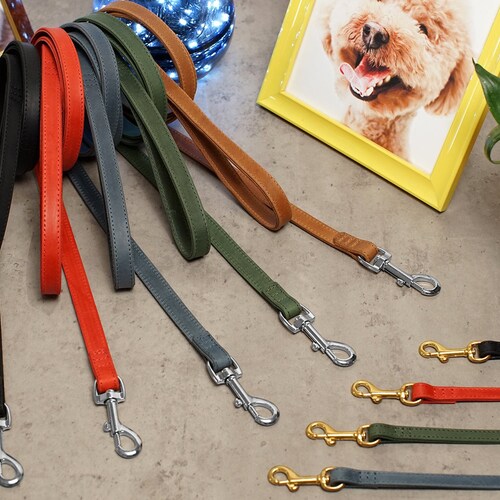 Leather Dog Leash Durable Pet Leashes With Golden and Silver Etsy