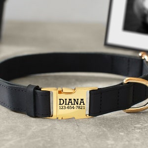 May include: Black leather dog collar with a gold buckle. The buckle has the name "DIANA" and the phone number "123-654-7821" engraved on it.
