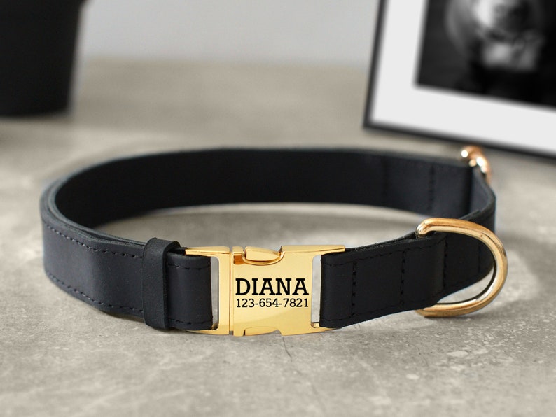 May include: Black leather dog collar with a gold buckle. The buckle has the name "DIANA" and the phone number "123-654-7821" engraved on it.