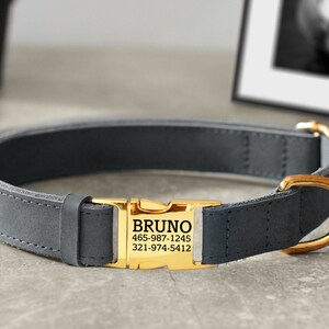 May include: A gray leather dog collar with a gold metal buckle and a personalized tag that reads "BRUNO 465-987-1245 321-974-5412".