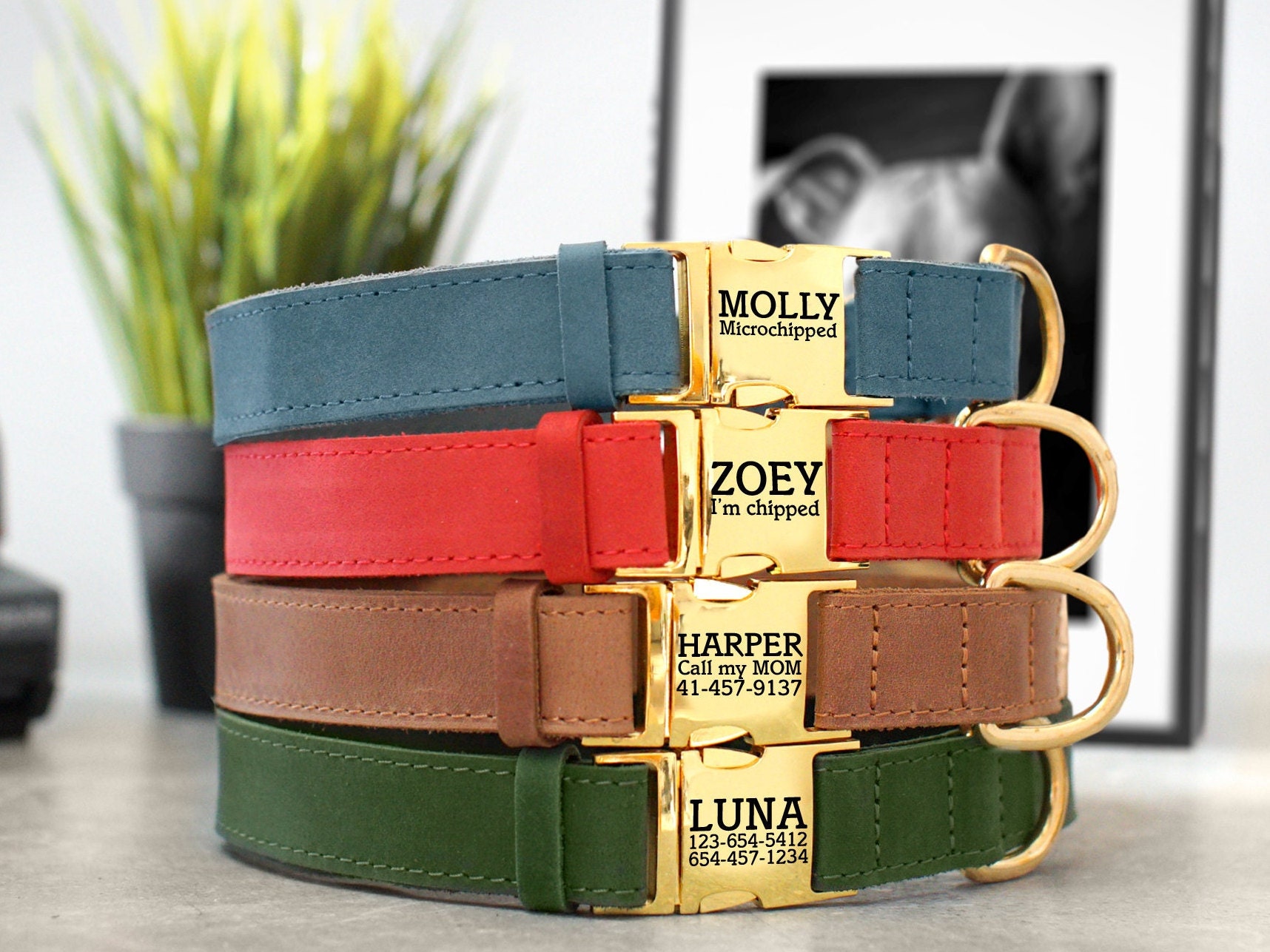 Personalized Dog Collar Gold Metal Buckle, Leather Pet Collars For Small & Large Dogs, Customized Collar, Wedding
