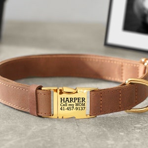 May include: A brown leather dog collar with a gold buckle. The buckle has the text "HARPER Call my MOM 41-457-9137" engraved on it.