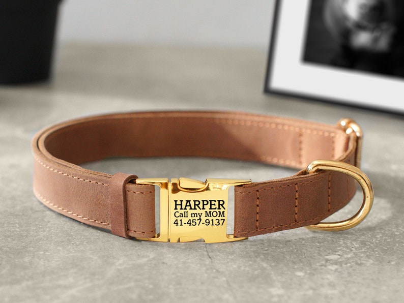 May include: A brown leather dog collar with a gold buckle. The buckle has the text "HARPER Call my MOM 41-457-9137" engraved on it.