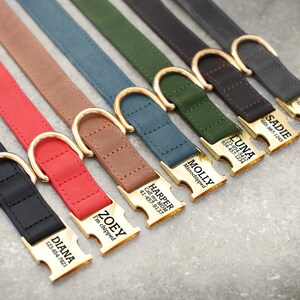 May include: Seven different colored leather dog collars with gold metal buckles and engraved name tags. The collars are arranged in a row from left to right, with the name tags facing the viewer. The name tags include the names "Diana", "Zoey", "Harper", "Molly", "Luna", "Sadie", and "Bruno", along with phone numbers.