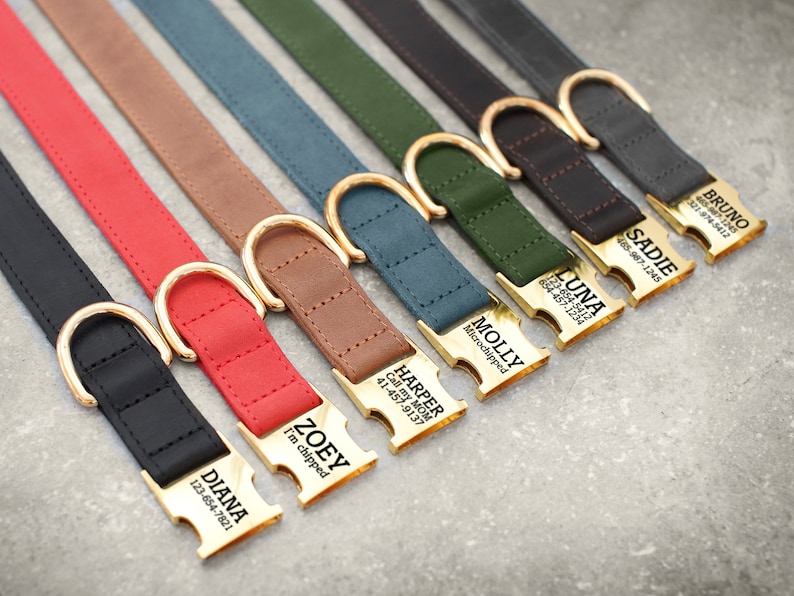 May include: Seven different colored leather dog collars with gold metal buckles and engraved name tags. The collars are arranged in a row from left to right, with the name tags facing the viewer. The name tags include the names "Diana", "Zoey", "Harper", "Molly", "Luna", "Sadie", and "Bruno", along with phone numbers.